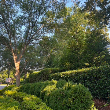 Professional Outdoor Landscaping & Property Maintenance