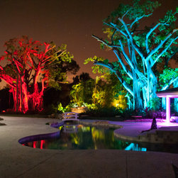 Florida Farmhouse - Lighting