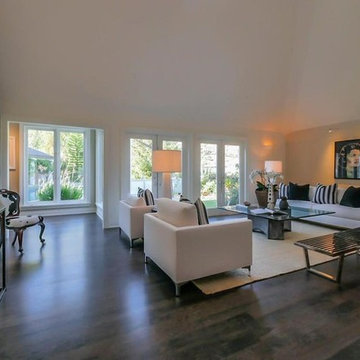 remodeling in Palisades living room