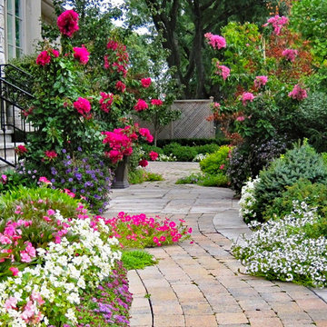 Planting and Maintenance