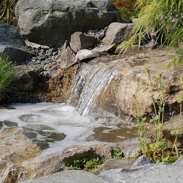 Wassergarten