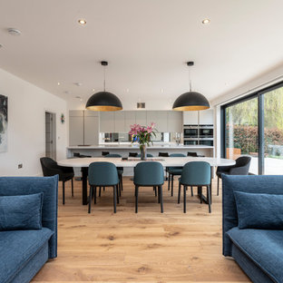 Expansive modern Kitchen/Family Room