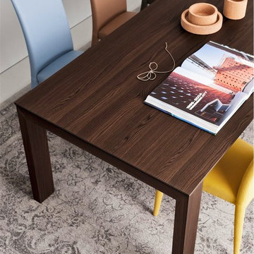 Omna Wood Extension Table and Aida Plus Leather Chairs