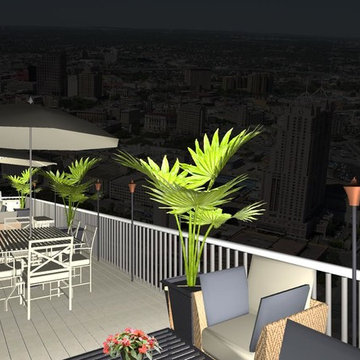 Ritz Penthouse Patio 3d Pics