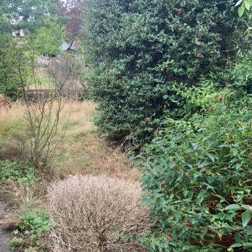 Monks - Front Garden Before