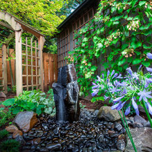 Water Feature