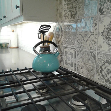 Denver University Home Kitchen Remodel