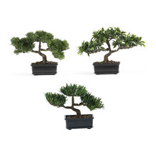 plants