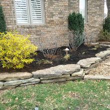 Front yard Landscape