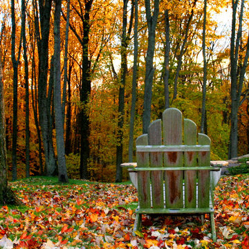 Autumn Joy