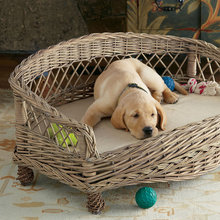 CWS Dog Bed