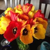 Foto von Carrie Morrison