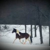 Nicole Murphy's photo