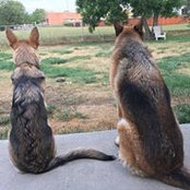 Ruth Altman's photo