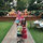 shannon_covington