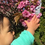 Lynne Kim Yang's photo