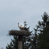 Maike Steiding's photo