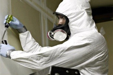 Mold Testing and Remediation