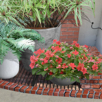 Foundation Plantings