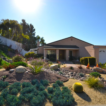 92124-Tierrasanta-Colorful Xeriscape/ Low Water/ Low Maintenance Front Yard