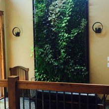 Living wall