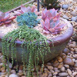 Succulent Containers - Outdoor Pots And Planters