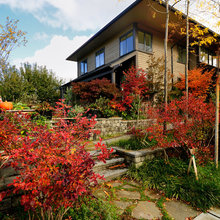 Lauras Landscaping