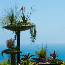 3015 Landscaping