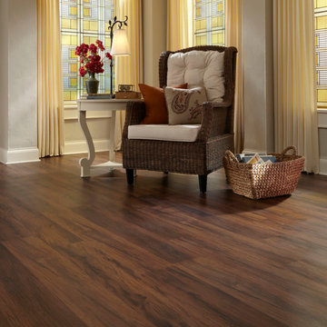 Transitional Living Room