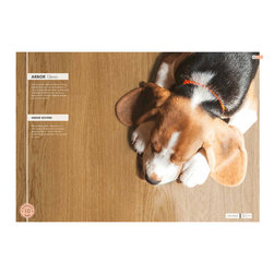 Mikasa by Greenlam - Engineered Wood Flooring
