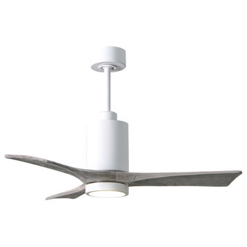 Patricia 3 Blade 42" Paddle Fan With Light Kit
