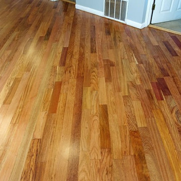 Brazilian Cherry Hardwood Floor Restoration (Jatoba)