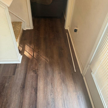 Residential Carpet Installation