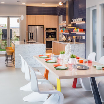 Contemporary Transitional Home