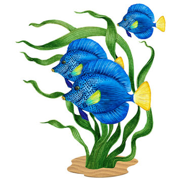 Blue Fish in Grass Porcelain Pool Mosaic ( 18" X 15" )