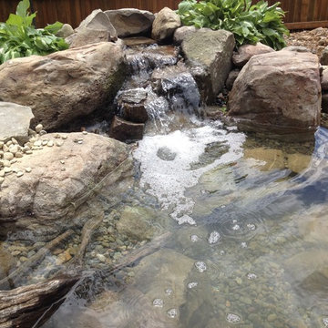 Backyard Fish Pond Installation