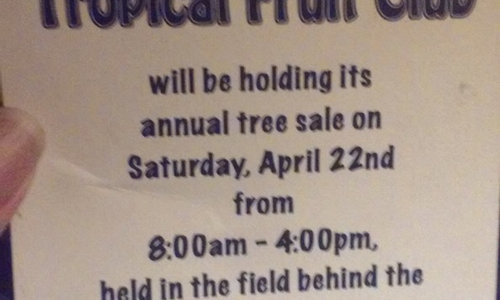 Brevard Rare Fruit Council Tree I Gotten Some Really Good Trees At These S The Club Only What They Know Will Grow Well Here E Early All Best Goes In Morning