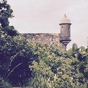 Kyle Carpenter's photo