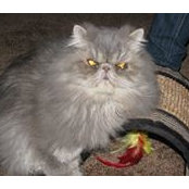 Barbara Lane's photo