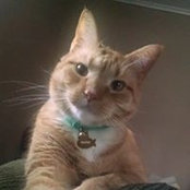 Kathy Crump's photo