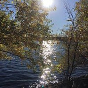 Susie Ballantyne's photo