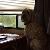 Cindy Fetke's photo
