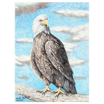 Mike Bennett Bald Eagle Art Print, 9"x12"