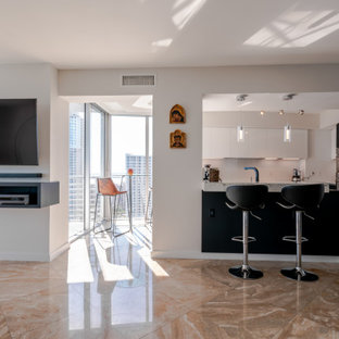 Brickell Apartment