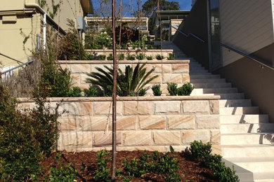 This is an example of a traditional sloped garden in Sydney with a garden path and natural stone pavers.
