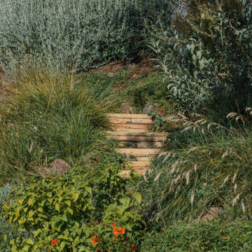 Mariposa Gardening & Design Winter