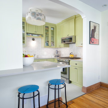 Project 3530-1 Highland Park Eclectic Kitchen