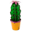 Cactus in Pot With Flower