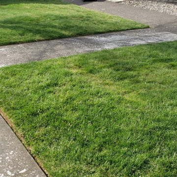 Yard Work