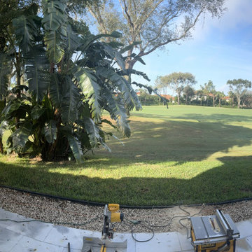 Back Yard - Before